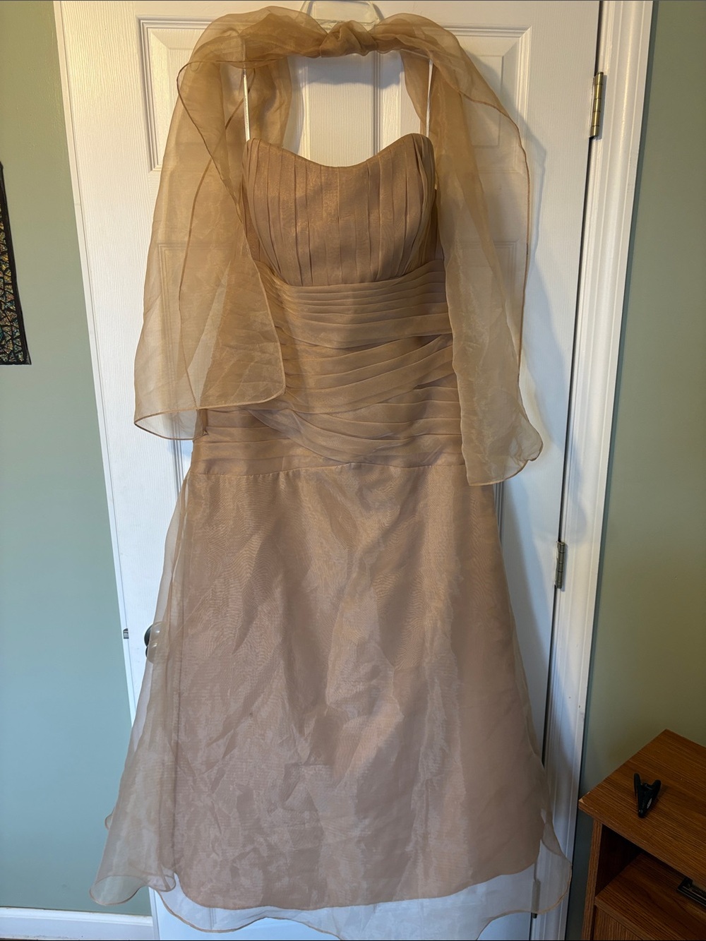 Elegant Strapless Evening Dress in Champagne